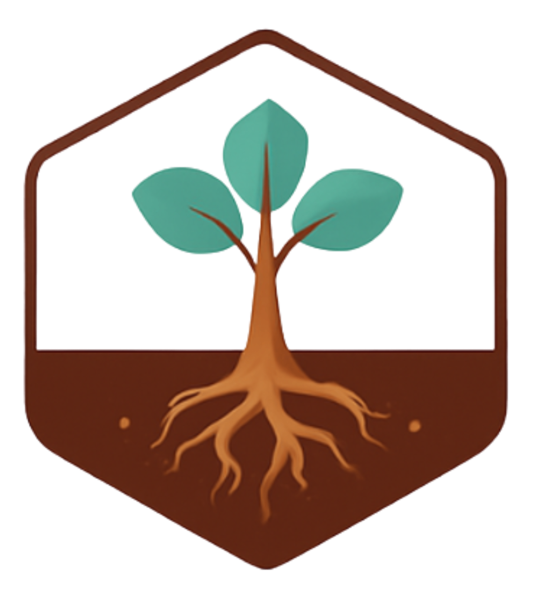The Baobab Institute hexagon logo — a sapling with roots inside a hexagonal frame